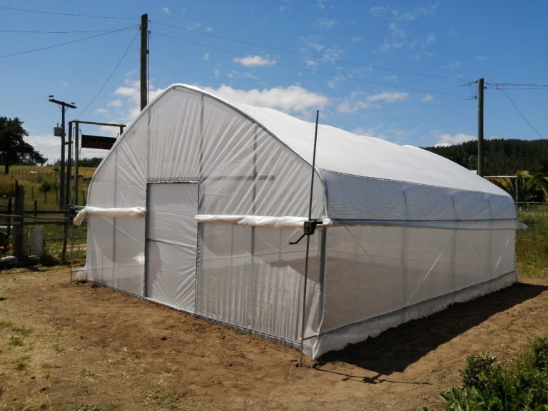 Invernaderos 2 WhatsApp Image 2025-04-16 at 12.23