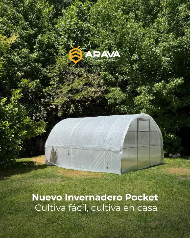 Instagram post from aravachile. This post is in position 3.