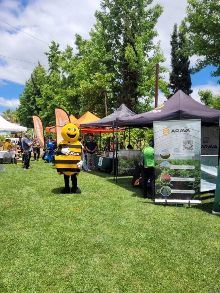 Instagram post from aravachile. This post is in position 9.