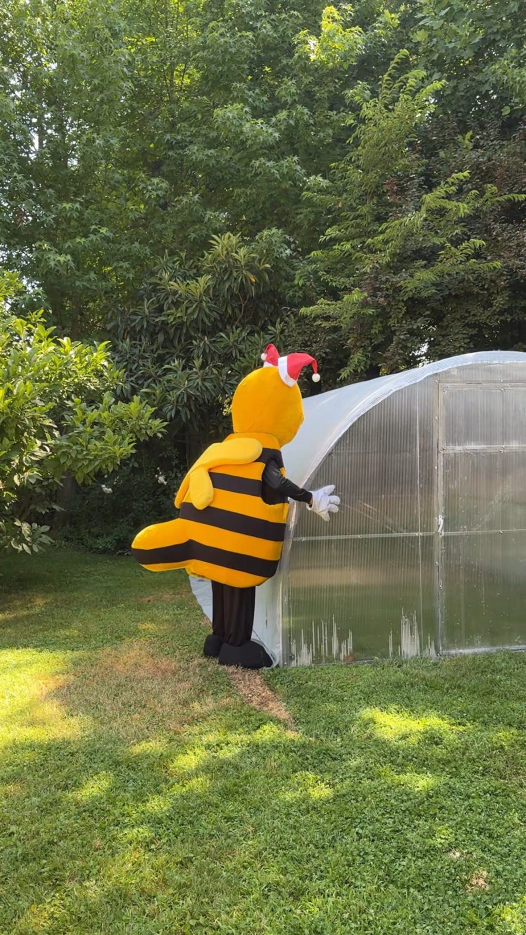 Instagram post from aravachile. This post is in position 8.