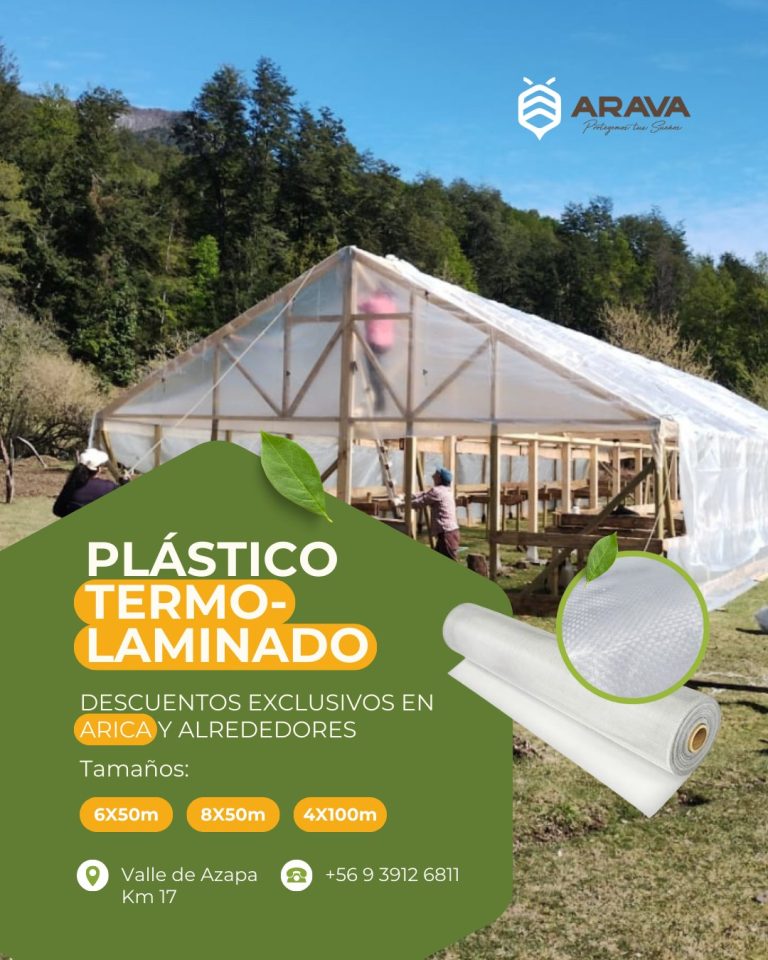 Instagram post from aravachile. This post is in position 8.