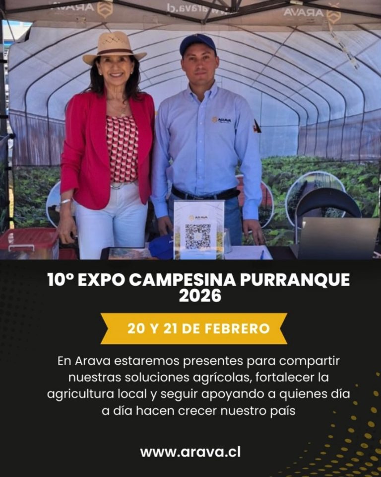 Instagram post from aravachile. This post is in position 8.