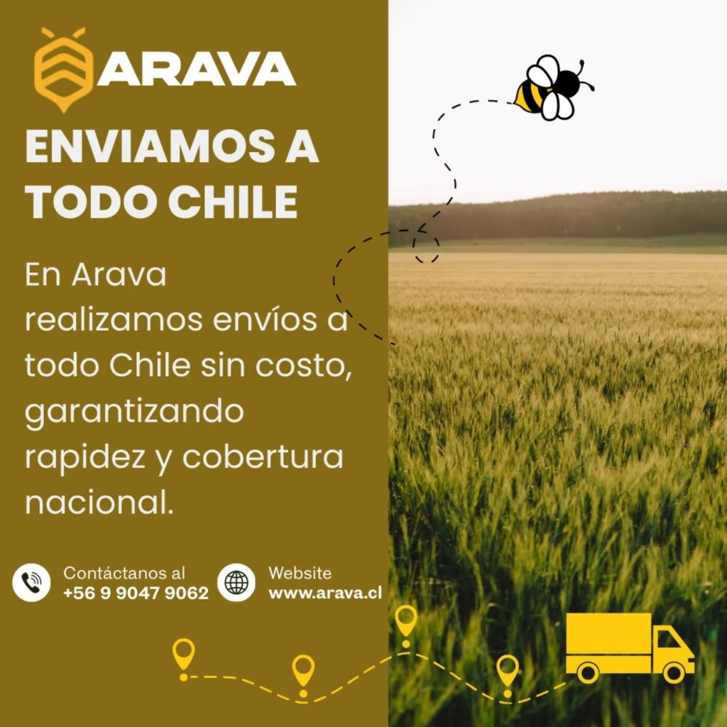 Instagram post from aravachile. This post is in position 3.