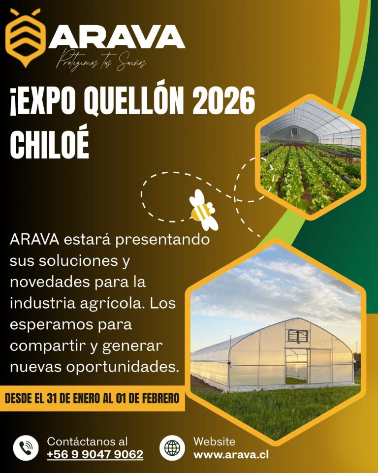 Instagram post from aravachile. This post is in position 1.