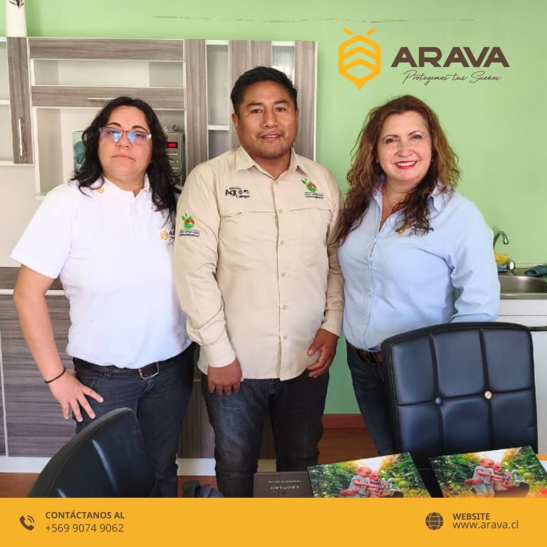 Instagram post from aravachile. This post is in position 6.