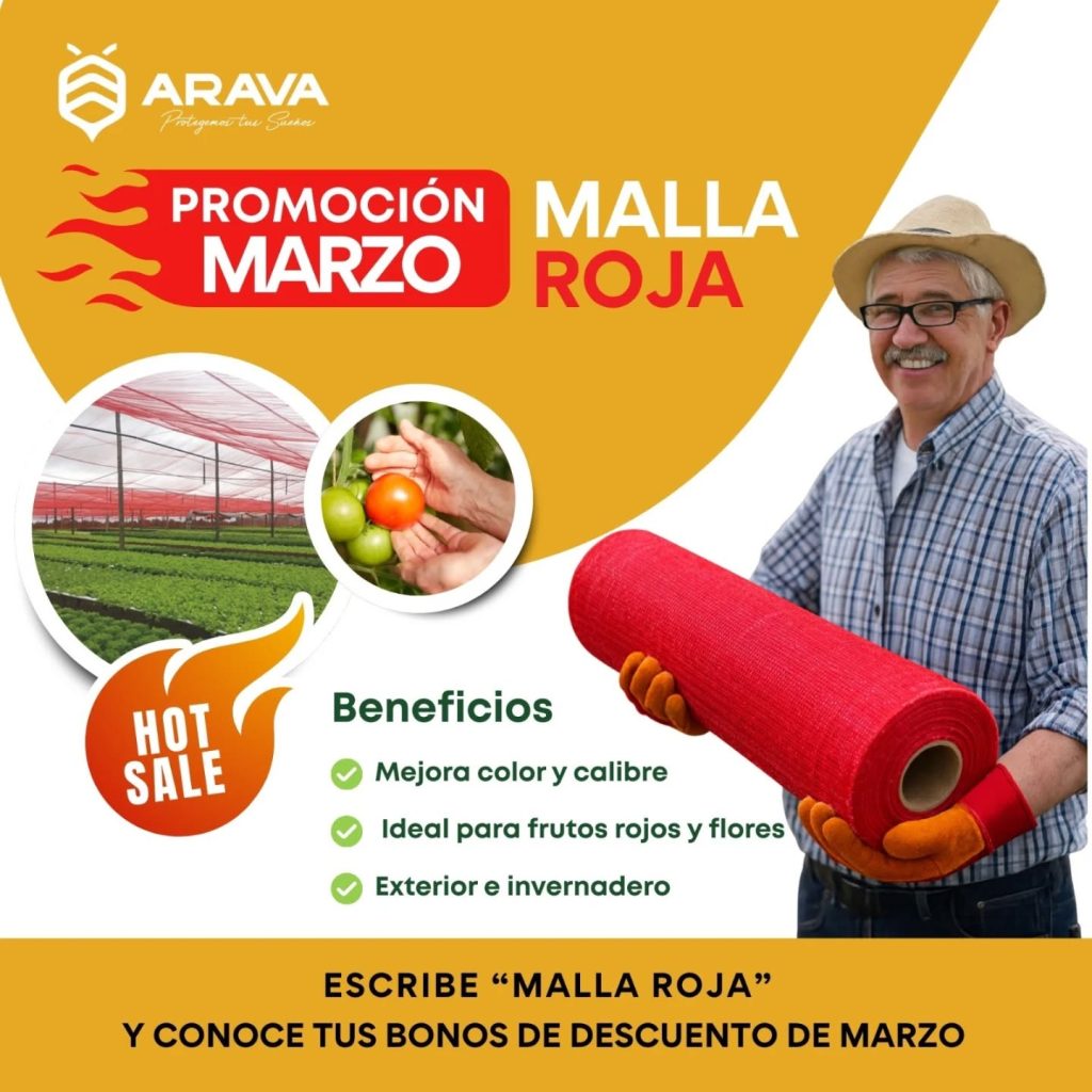 Instagram post from aravachile. This post is in position 4.