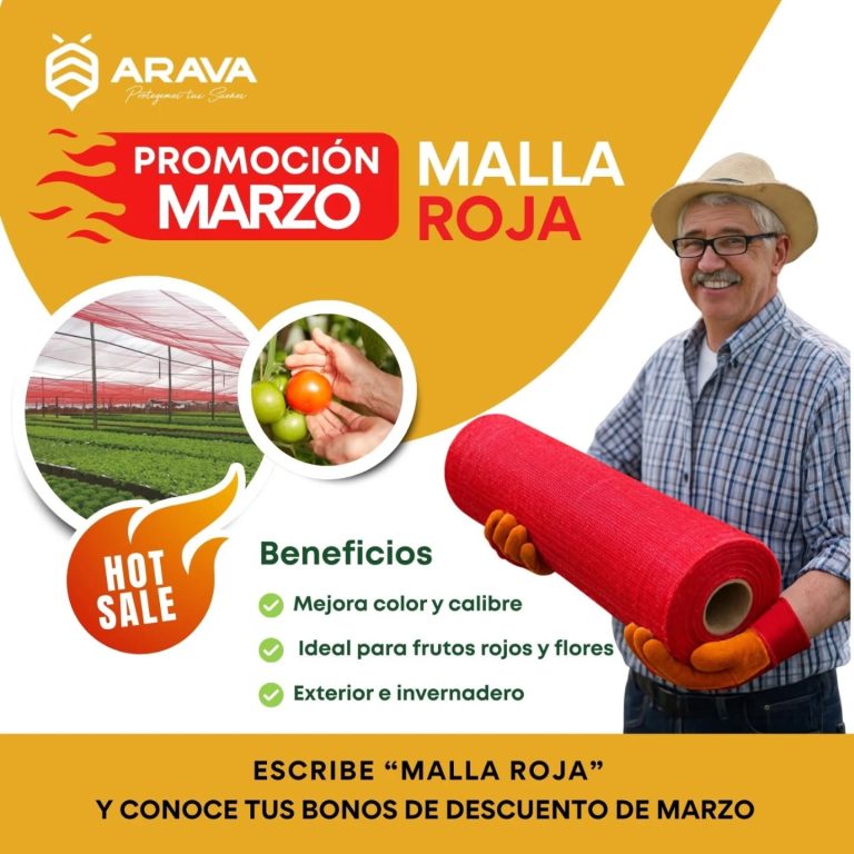 Instagram post from aravachile. This post is in position 5.