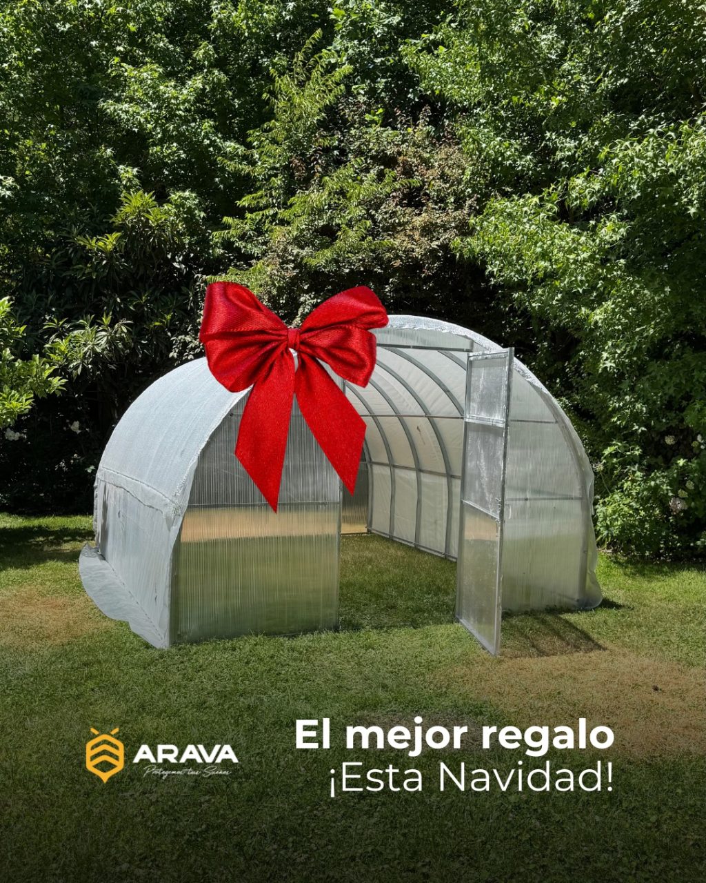 Instagram post from aravachile. This post is in position 1.