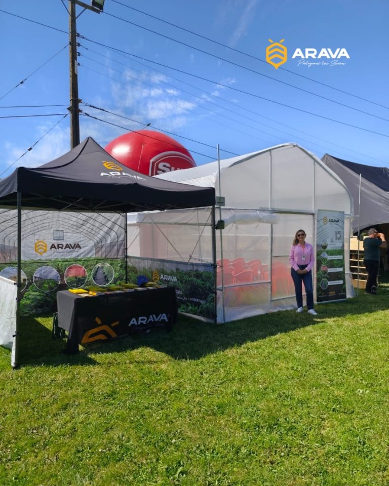 Instagram post from aravachile. This post is in position 7.