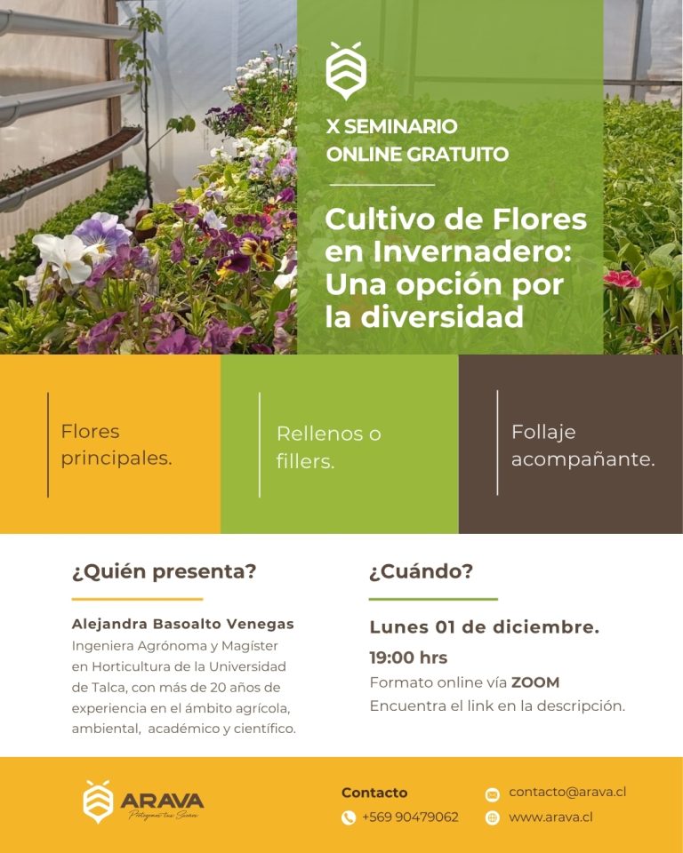 Instagram post from aravachile. This post is in position 10.