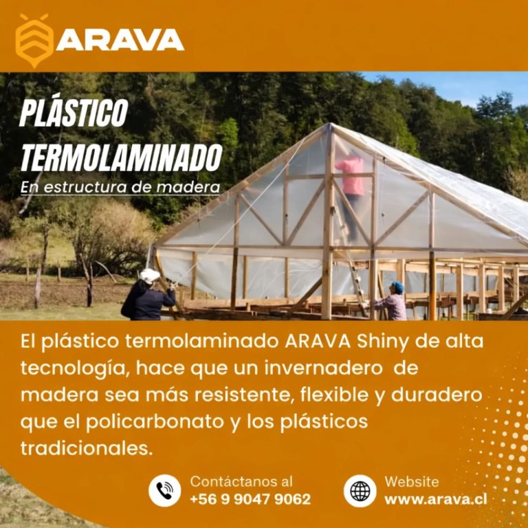 Instagram post from aravachile. This post is in position 8.