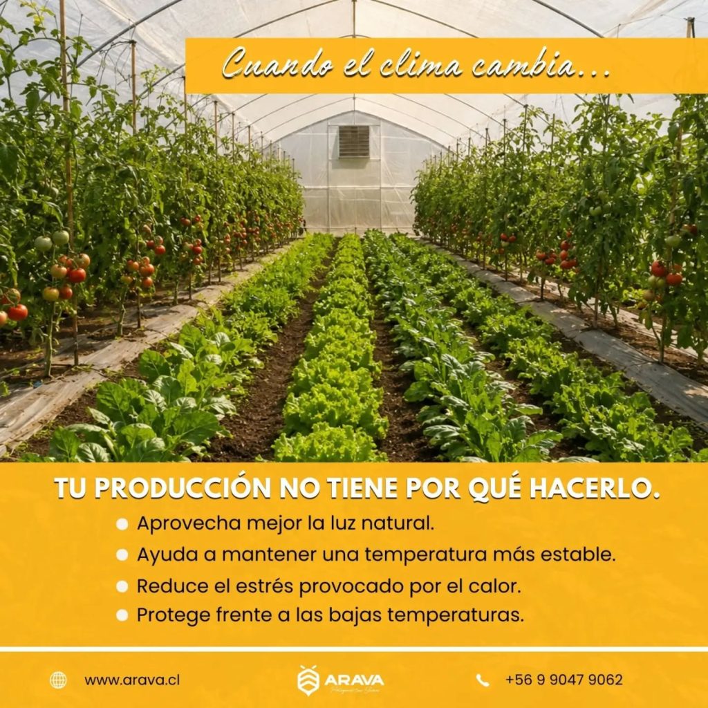 Instagram post from aravachile. This post is in position 2.