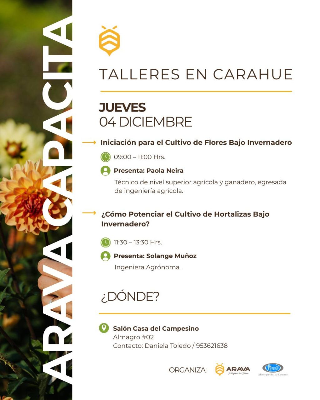 Instagram post from aravachile. This post is in position 6.