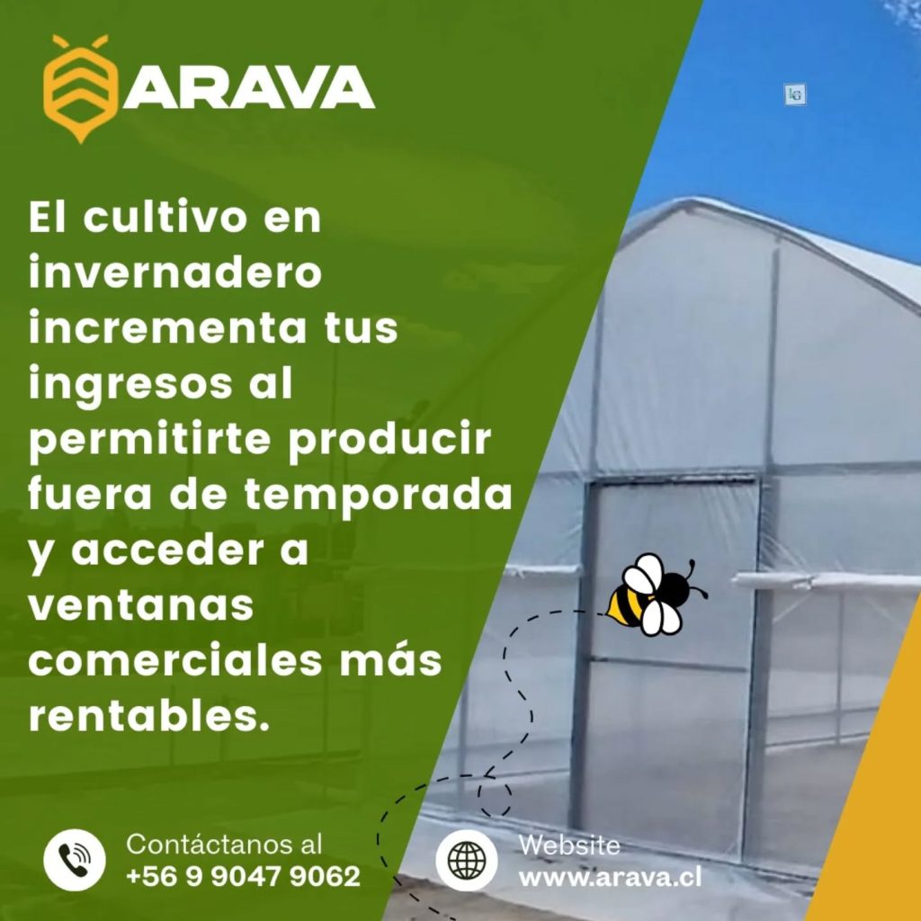 Instagram post from aravachile. This post is in position 8.