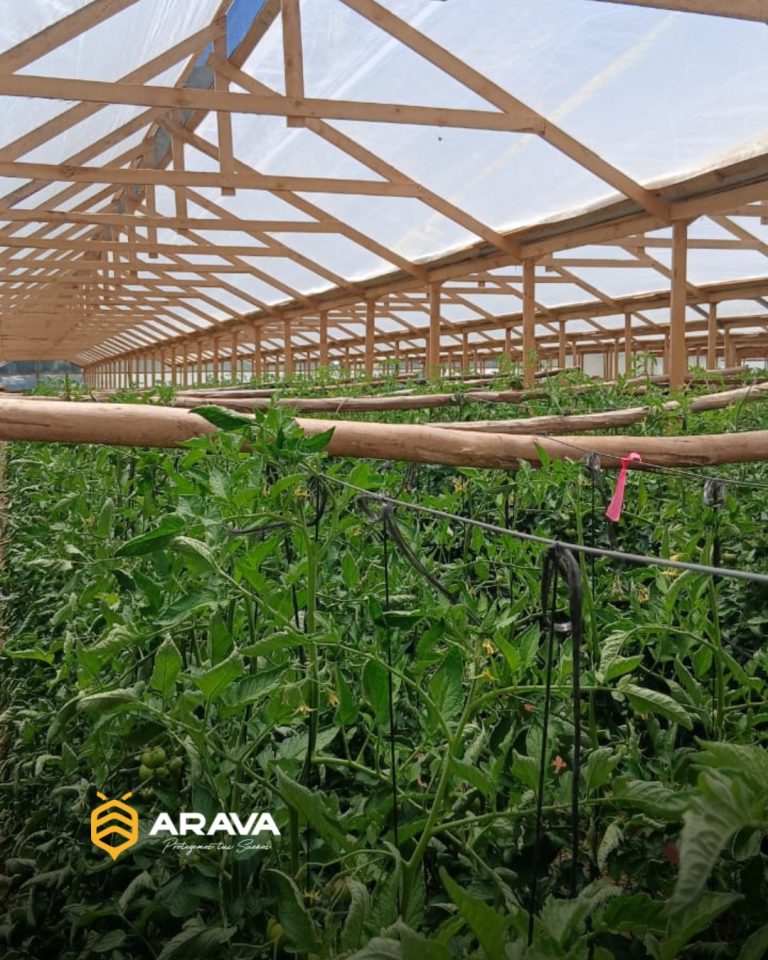 Instagram post from aravachile. This post is in position 1.