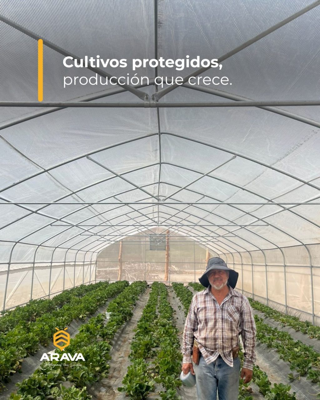 Instagram post from aravachile. This post is in position 4.