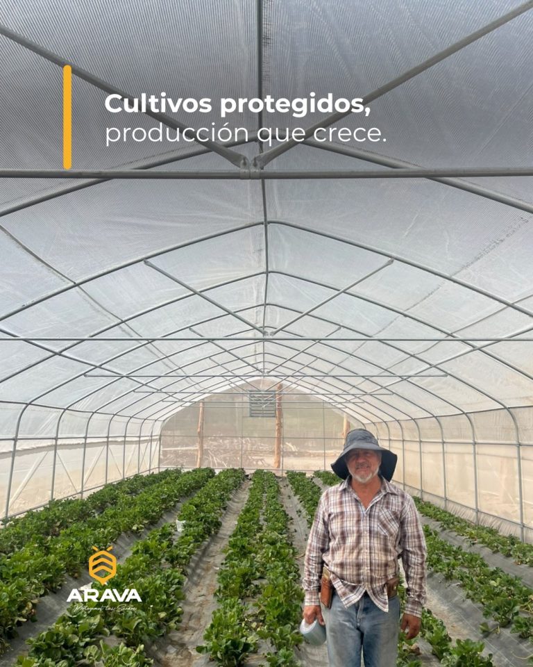 Instagram post from aravachile. This post is in position 5.