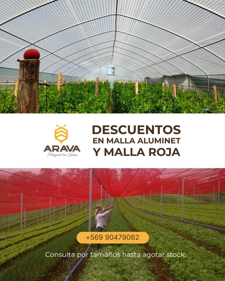 Instagram post from aravachile. This post is in position 7.