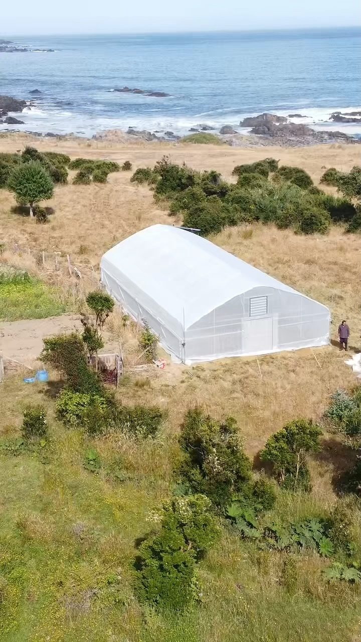 Instagram post from aravachile. This post is in position 8.