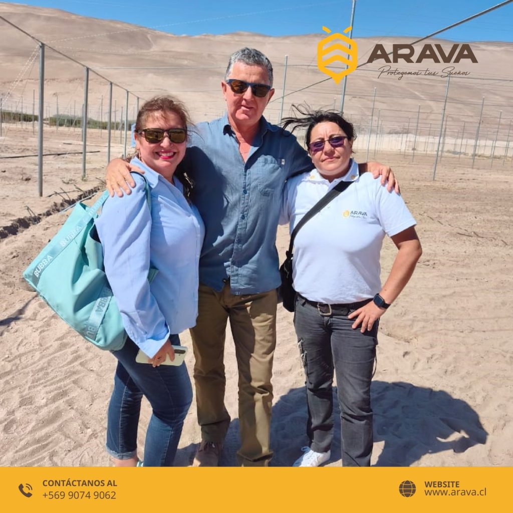 Instagram post from aravachile. This post is in position 7.