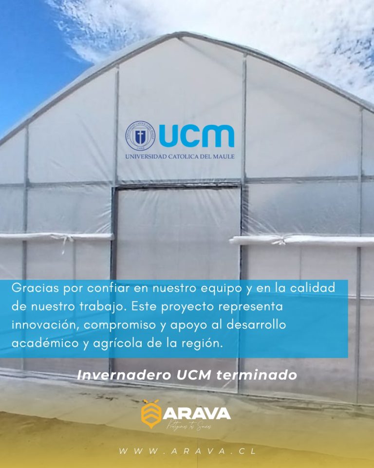 Instagram post from aravachile. This post is in position 10.