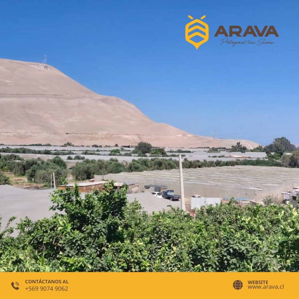 Instagram post from aravachile. This post is in position 2.