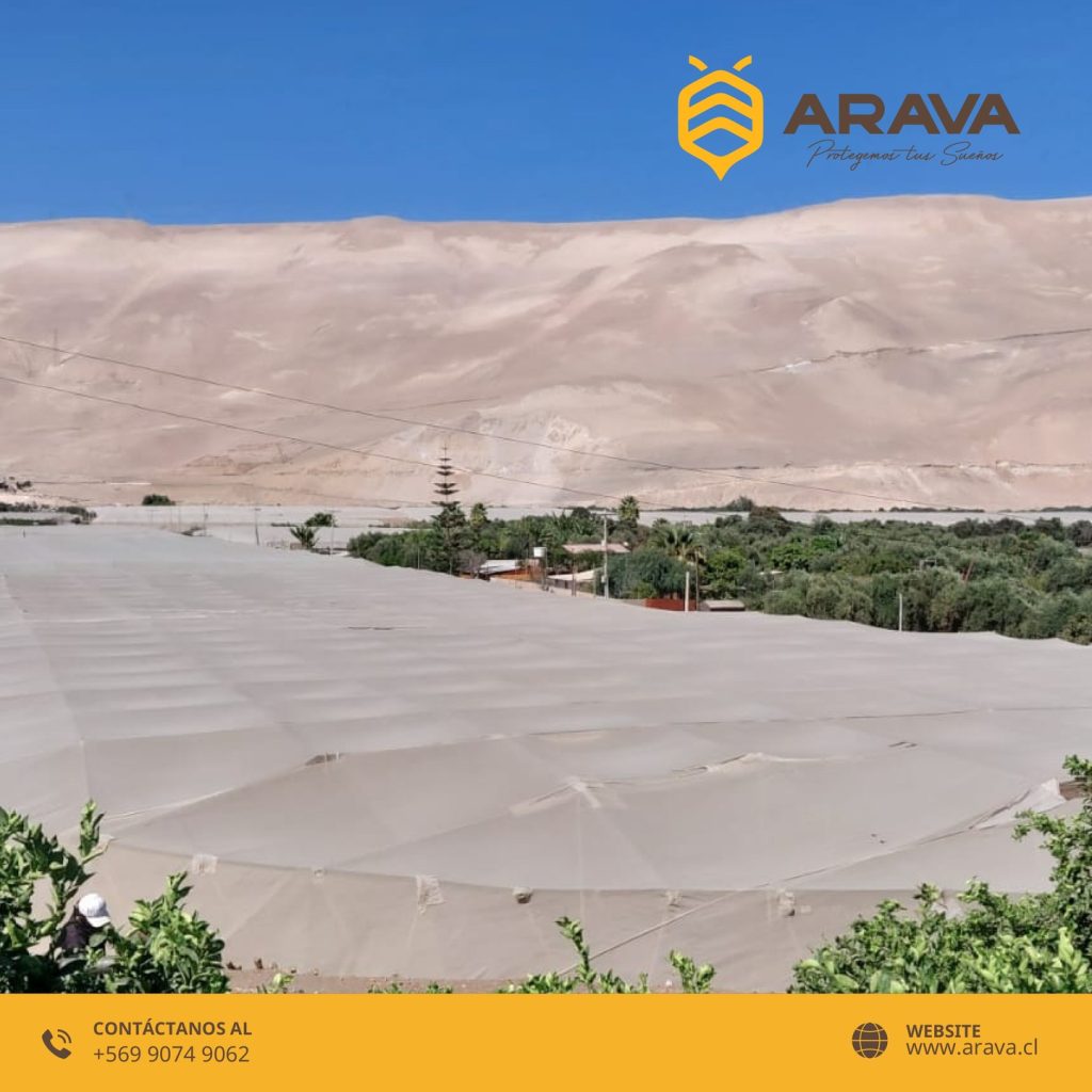 Instagram post from aravachile. This post is in position 1.