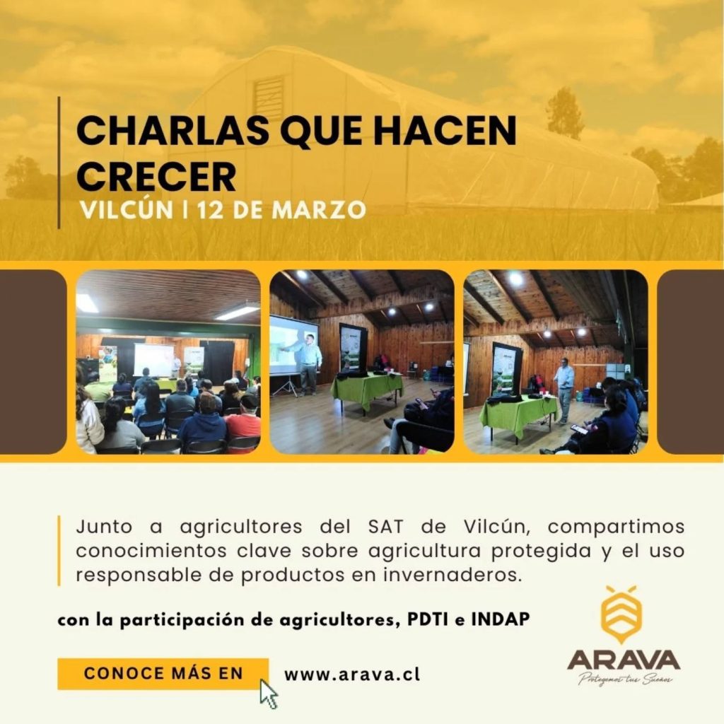 Instagram post from aravachile. This post is in position 0.