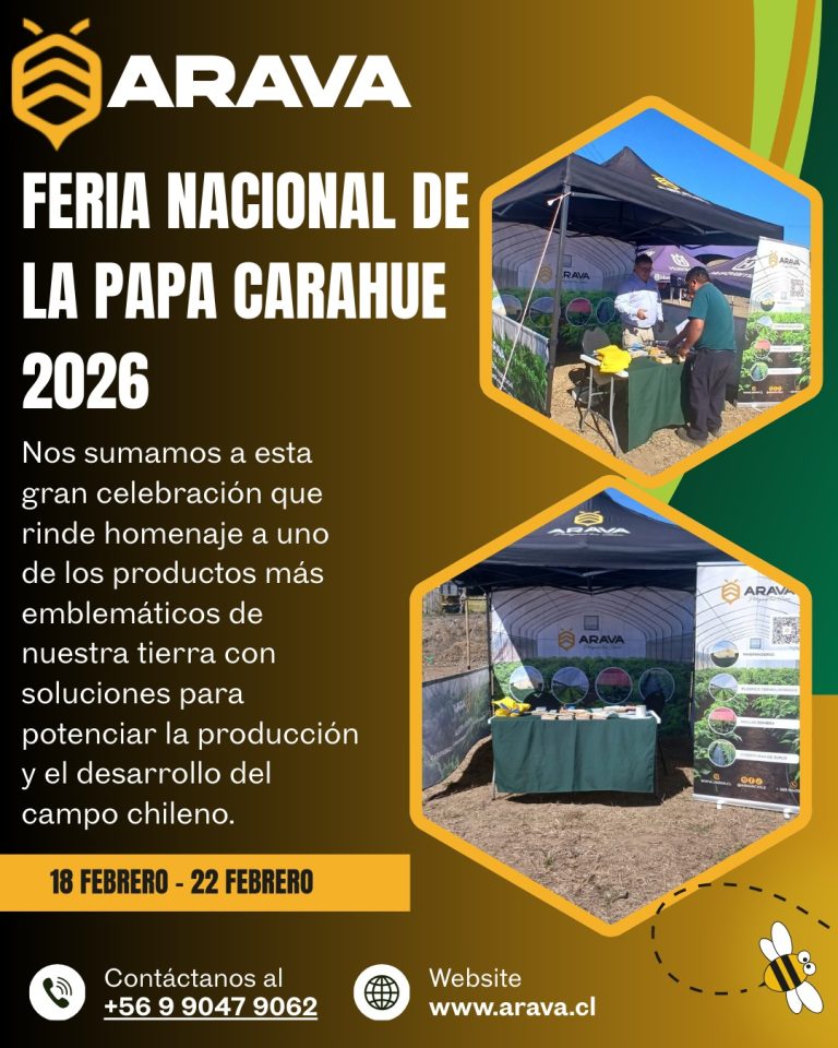 Instagram post from aravachile. This post is in position 9.