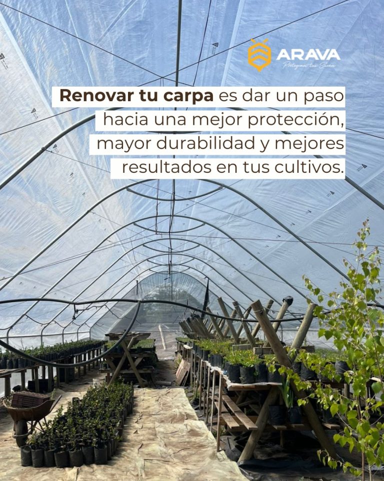 Instagram post from aravachile. This post is in position 4.