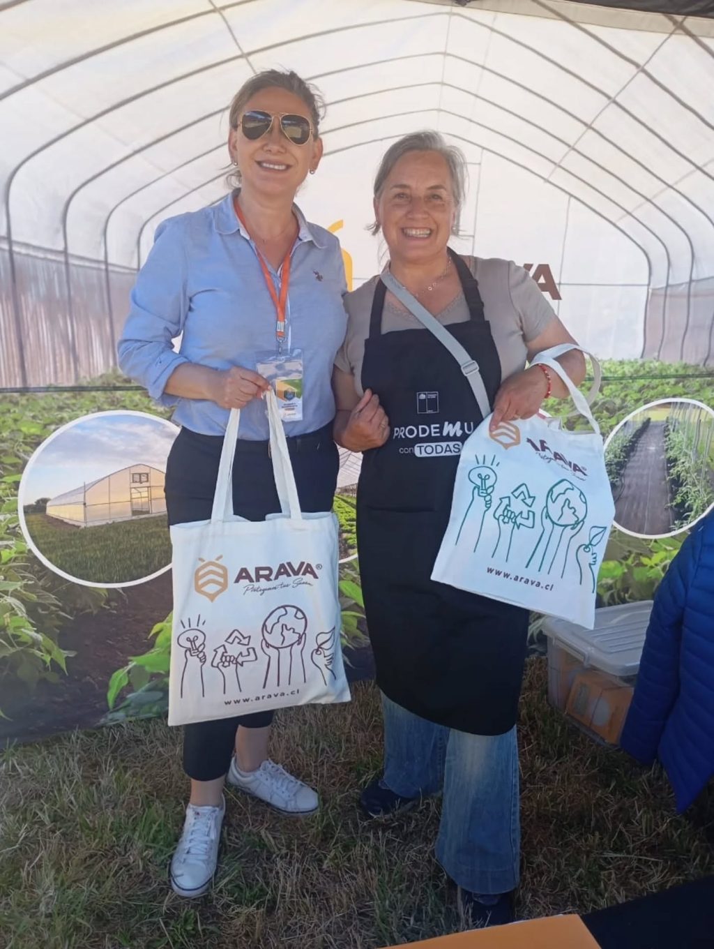 Instagram post from aravachile. This post is in position 2.