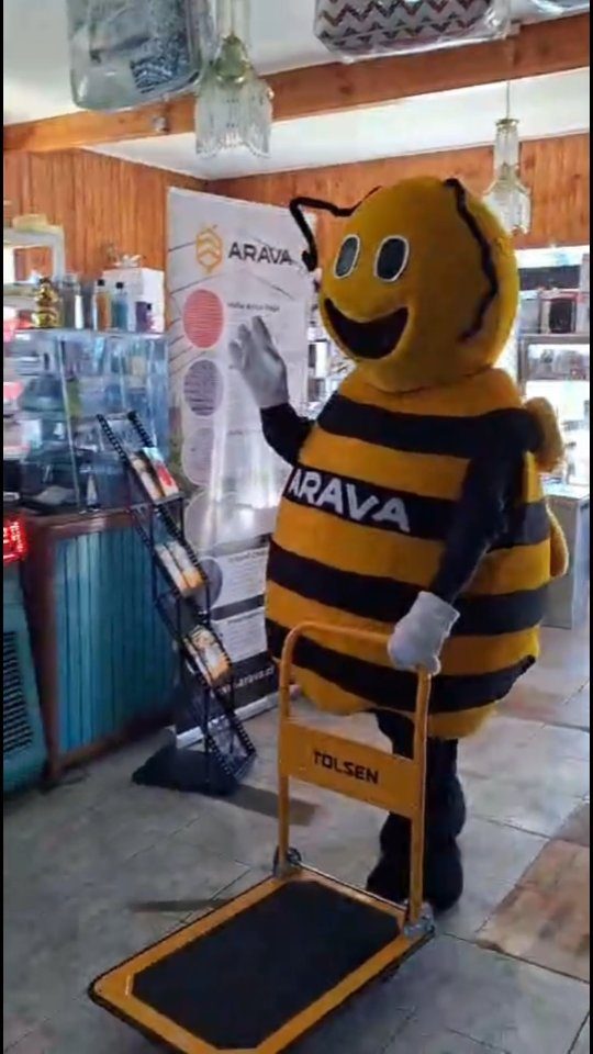 Instagram post from aravachile. This post is in position 10.