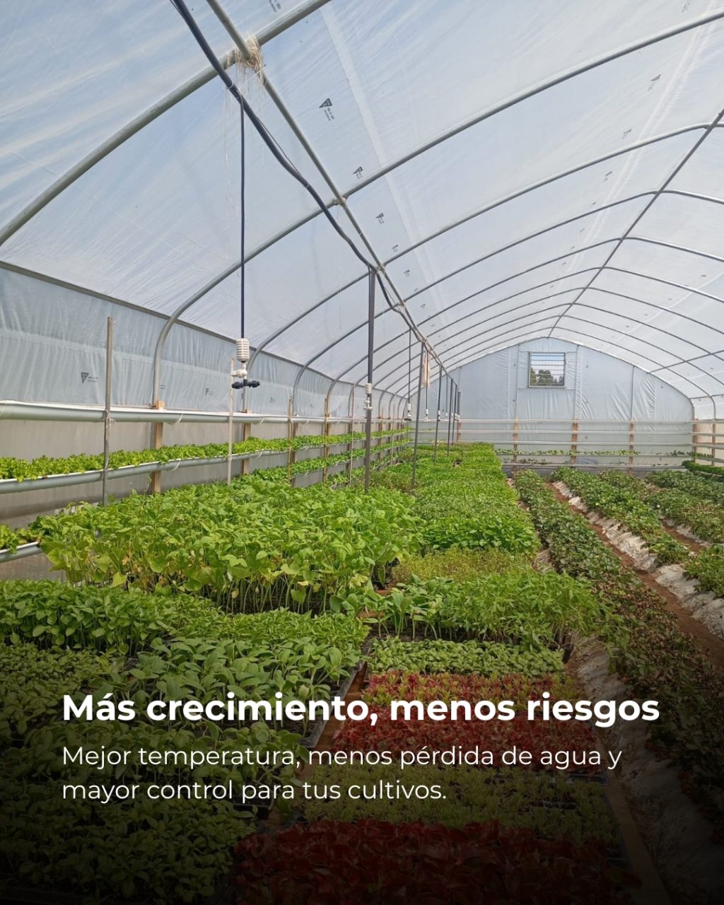 Instagram post from aravachile. This post is in position 1.