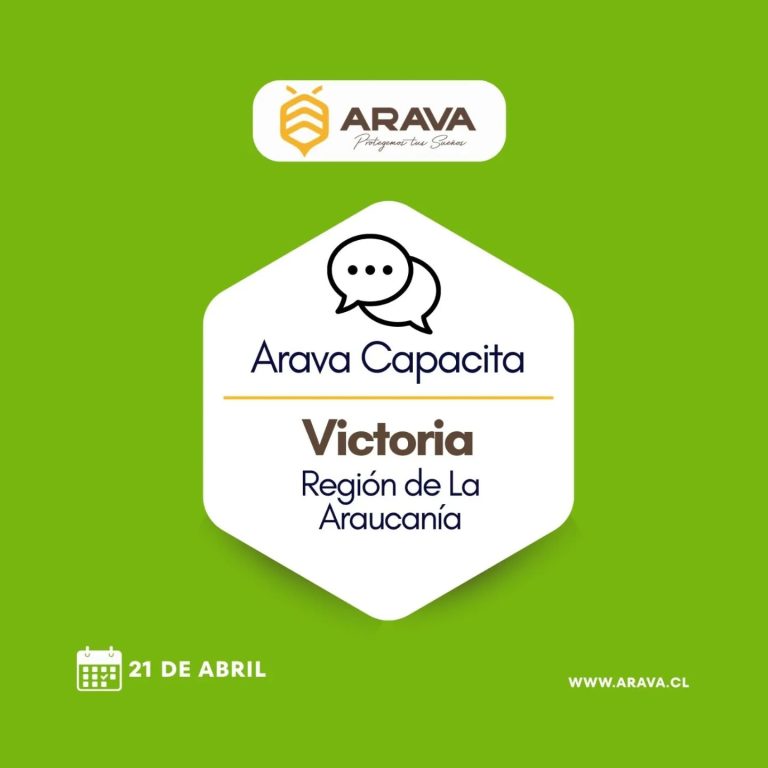 Instagram post from aravachile. This post is in position 3.